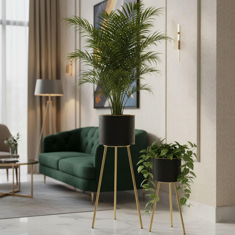 Modern Black Metal Plant Pot ,Gold Tripod Stand , Set of 2 Planters